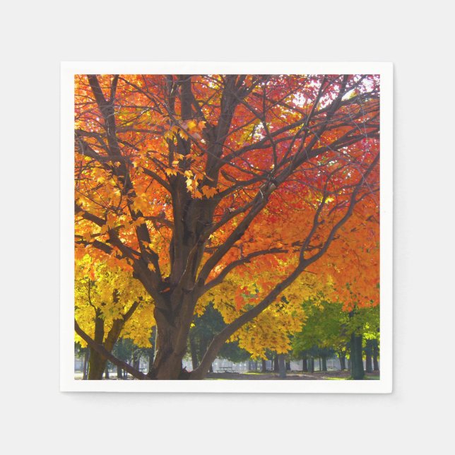 Autumn Leaves of Yellow and Orange Photo Napkin (Front)