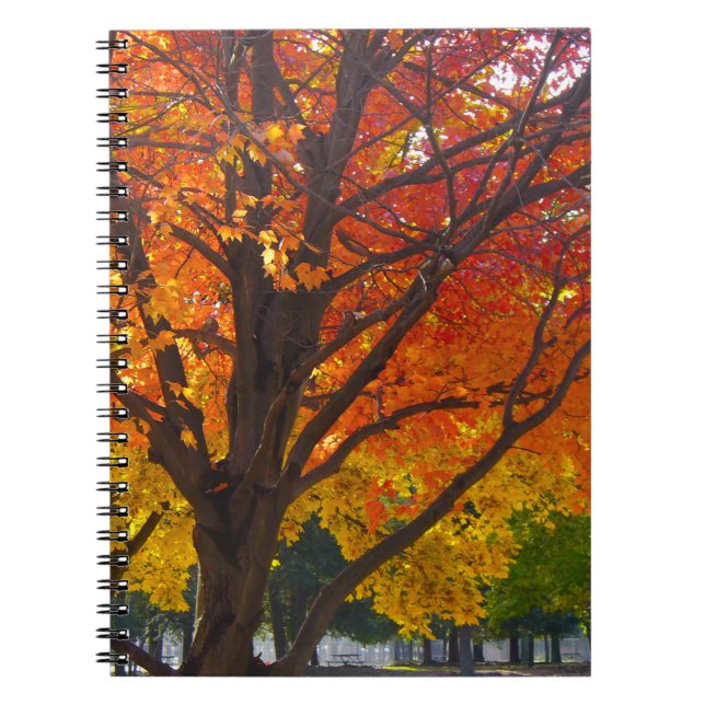 Autumn Leaves of Yellow and Orange Photo Notebook (Front)