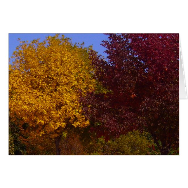 Autumn Leaves of Yellow and Purple Card (Front Horizontal)