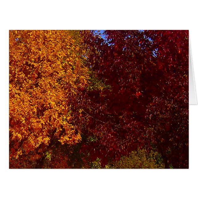 Autumn Leaves of Yellow and Purple, ZSSPG (Front Horizontal)