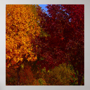Autumn Leaves of Yellow and Purple, ZSSPG Poster