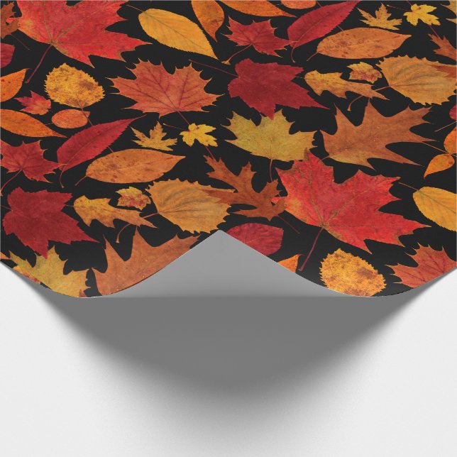 Autumn Leaves on Black Wrapping Paper (Corner)