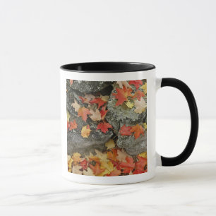 Autumn leaves on stone wall, Minute Man Mug