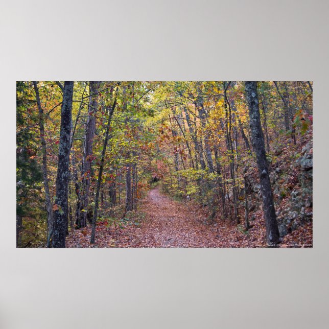 Autumn Leaves on the Canyon Trail Poster (Front)