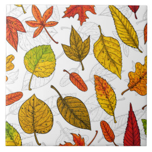 Autumn leaves on white ceramic tile