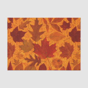 Autumn Leaves Orange Tissue Paper