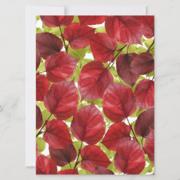 Autumn Leaves Pattern