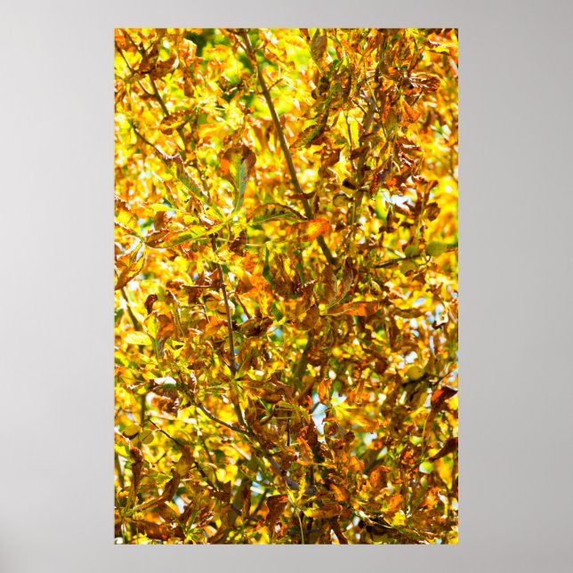 Autumn leaves pattern poster (Front)