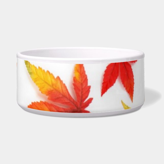 Autumn Leaves Pet Bowl (Front)