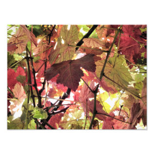 AUTUMN LEAVES PHOTO PRINT