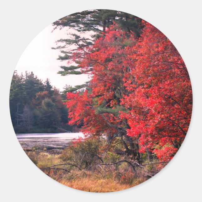 Autumn Leaves Pond Nature  Classic Round Sticker (Front)