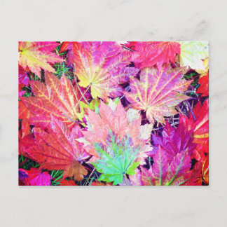 Autumn Leaves Postcard