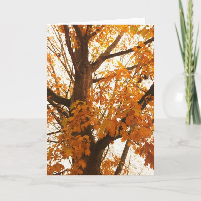 Autumn Leaves Postcard (Front)