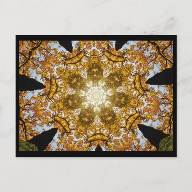 Autumn Leaves Postcard (Front)