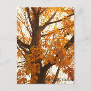 Autumn Leaves Postcard
