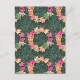 Autumn Leaves Postcard