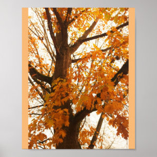 Autumn Leaves Poster