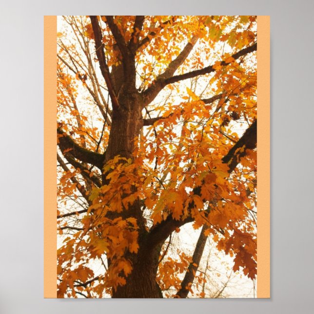 Autumn Leaves Poster (Front)