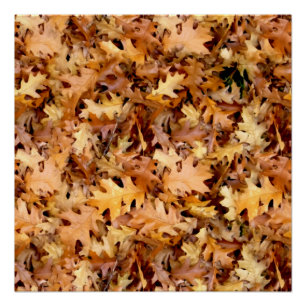 AUTUMN LEAVES POSTER