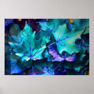Autumn leaves poster