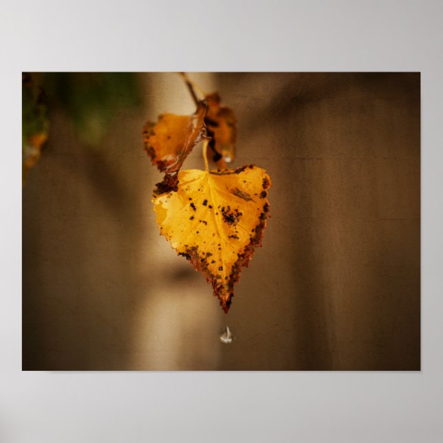 Autumn Leaves Poster (Front)