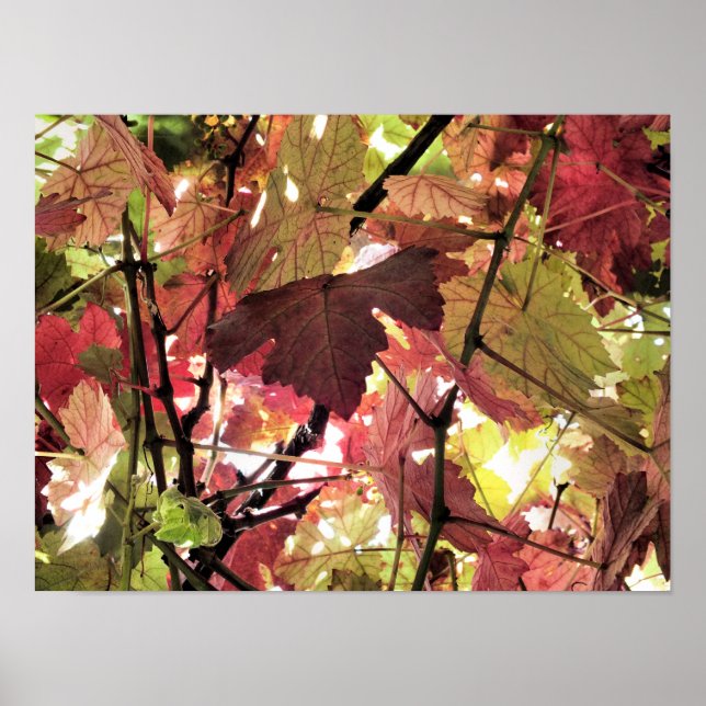 AUTUMN LEAVES POSTER (Front)