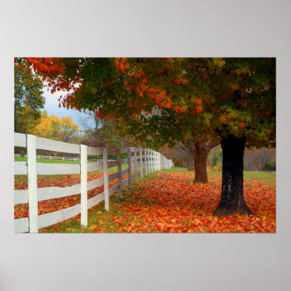 Autumn Leaves Poster