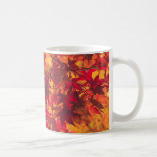 Autumn Leaves Red and Orange Nature Coffee Mug
