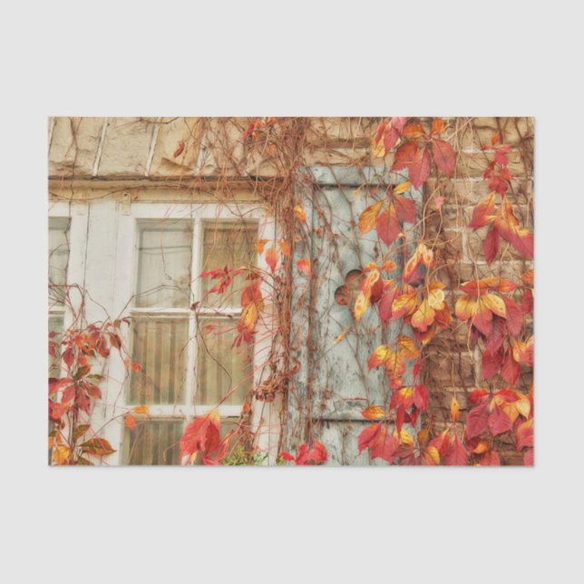 Autumn Leaves Red Yellow Antique Country Window Tissue Paper (Front)