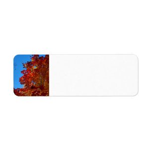 Autumn leaves return address label