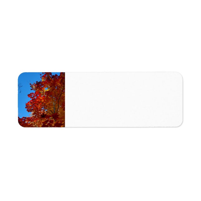 Autumn leaves return address label (Front)