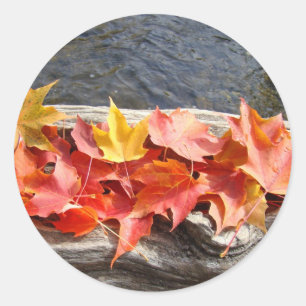 Autumn Leaves River Driftwood stickers Fall Trees