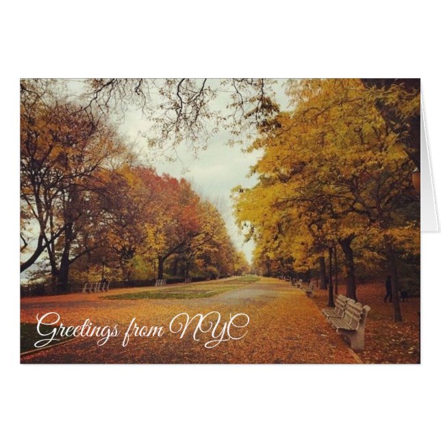 Autumn Leaves Riverside Park New York City NYC (Front Horizontal)