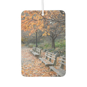 Autumn Leaves Riverside Park New York City NYC Car Air Freshener