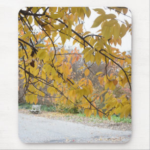 Autumn Leaves Riverside Park New York City NYC Mouse Pad