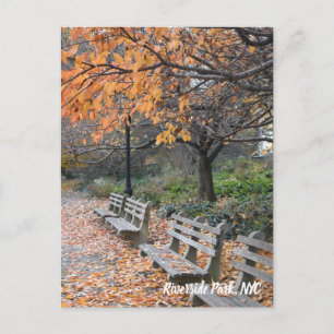 Autumn Leaves Riverside Park New York City Photo Postcard