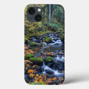 Autumn Leaves Scattered Along Gorton Creek iPhone 13 Case