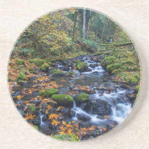 Autumn Leaves Scattered Along Gorton Creek Coaster