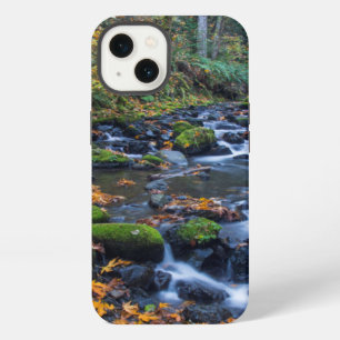 Autumn Leaves Scattered Along Gorton Creek iPhone 13 Case