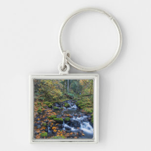 Autumn Leaves Scattered Along Gorton Creek Key Ring