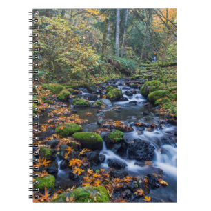 Autumn Leaves Scattered Along Gorton Creek Notebook