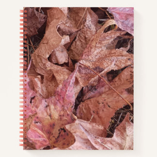 Autumn Leaves Spiral Journal 