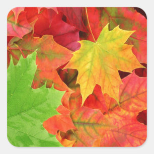 AUTUMN LEAVES SQUARE STICKER