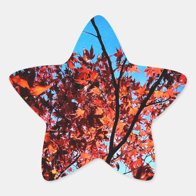 Autumn leaves star sticker (Front)