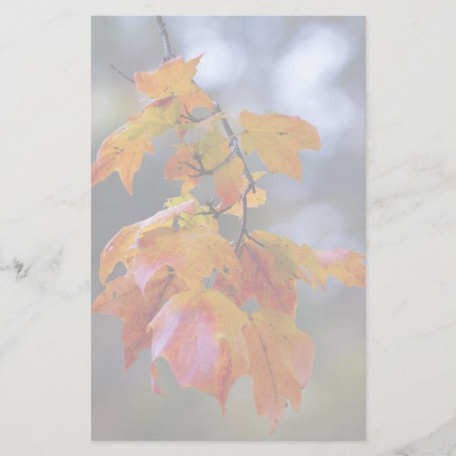 Autumn Leaves Stationery (Front)