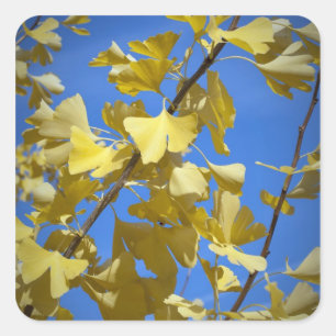 Autumn Leaves Sticker