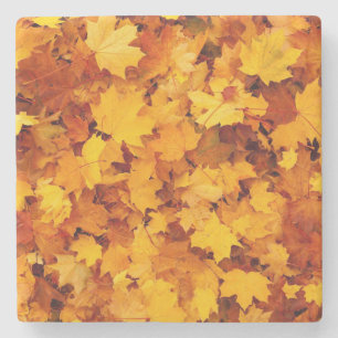 Autumn Leaves Stone Coaster