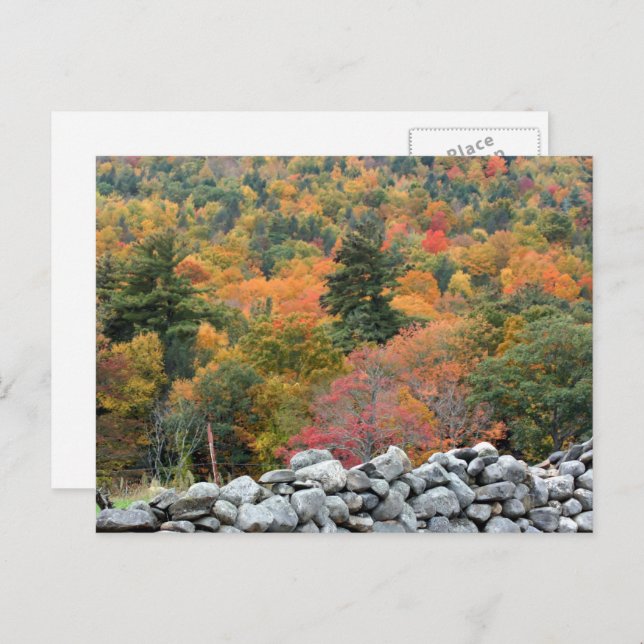 Autumn Leaves Stone Wall Personalised Postcard (Front/Back)