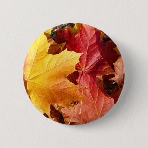 Autumn leaves - Stunning! 6 Cm Round Badge