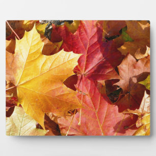 Autumn leaves - Stunning! Plaque